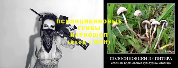 MDMA Premium VHQ Карпинск