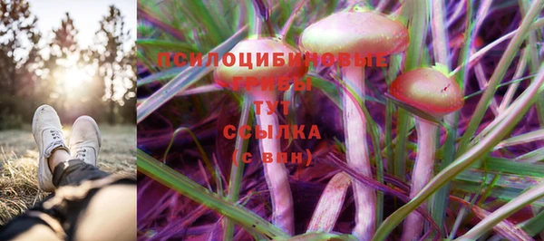 MDMA Premium VHQ Карпинск