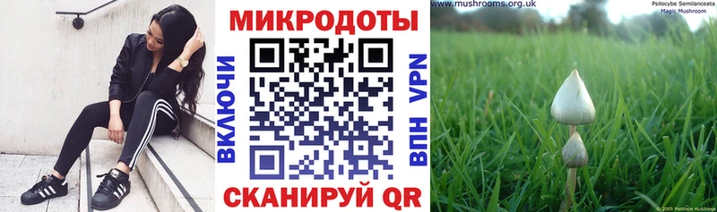 Псилоцибиновые грибы Psilocybine cubensis  Купить закладки  Старый Оскол 